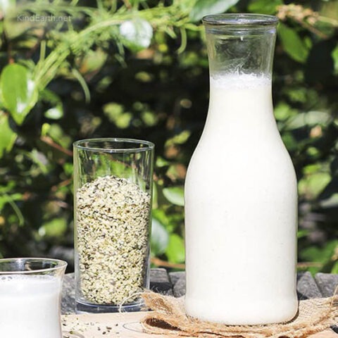 Hemp Milk